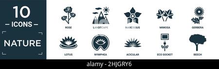 ensemble d'icônes nature rempli. contient rose plate, paysage, narcisse, mimosa, gerbera,lotus, nymphea, acicular, eco socket, beech icônes en format modifiable Illustration de Vecteur