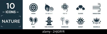 ensemble d'icônes nature remplies. contient une pivoine plate, une bergamote, un coquelicot, un trèfle, une tempête de vent,chêne, incendie, pissenlit, coucher de soleil, icônes magnolia en format modifiable Illustration de Vecteur