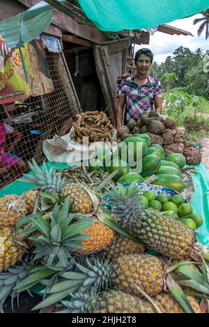 Une dame se tient à côté de son stand de fruits frais de bord de route près de Gampola dans les hauts plateaux du centre du Sri Lanka. Banque D'Images