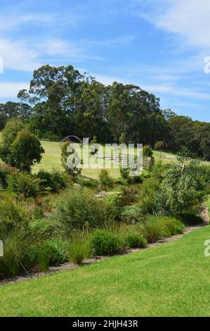 Vue sur le parc de l'université Macquarie à Sydney, en Australie Banque D'Images