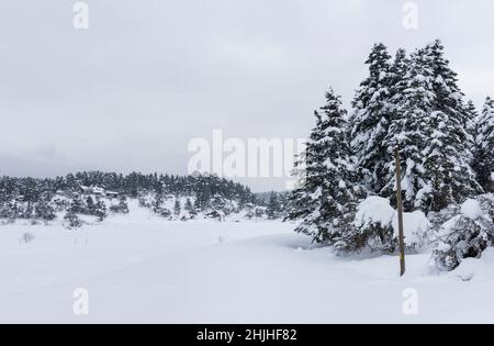 PARC NATUREL D'ABANT LAKE à Bolu, Turquie.(Turc : Abant Golu Tabiat Parki).Magnifique paysage d'hiver à Frozen Abant Lake. Banque D'Images