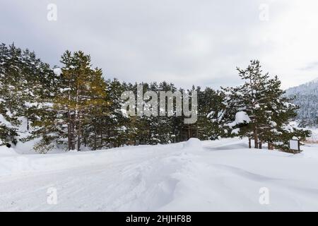 PARC NATUREL D'ABANT LAKE à Bolu, Turquie.(Turc : Abant Golu Tabiat Parki).Magnifique paysage d'hiver au lac Abant. Banque D'Images