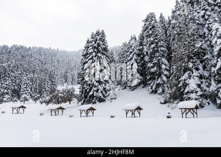 PARC NATUREL D'ABANT LAKE à Bolu, Turquie.(Turc : Abant Golu Tabiat Parki).Magnifique paysage d'hiver au lac Abant. Banque D'Images