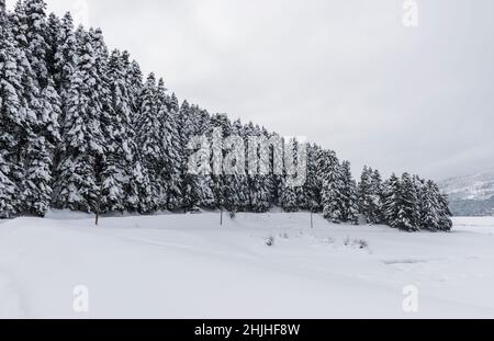 PARC NATUREL D'ABANT LAKE à Bolu, Turquie.(Turc : Abant Golu Tabiat Parki).Magnifique paysage d'hiver au lac Abant. Banque D'Images