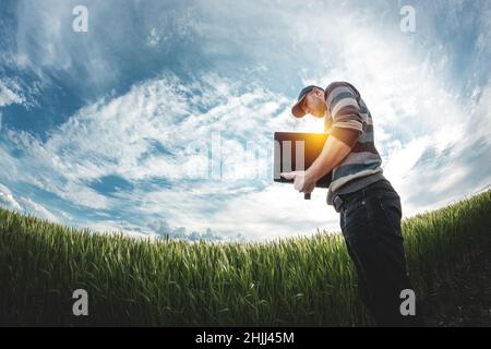 Un jeune agronome tient un dossier dans ses mains sur un champ de blé vert.Un agriculteur prend des notes sur le fond des terres agricoles au coucher du soleil.Homme Banque D'Images