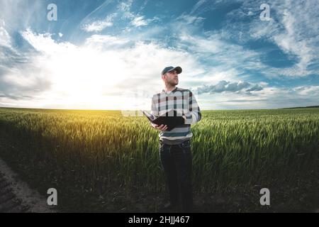 Un jeune agronome tient un dossier dans ses mains sur un champ de blé vert.Un agriculteur prend des notes sur le fond des terres agricoles au coucher du soleil.Homme Banque D'Images