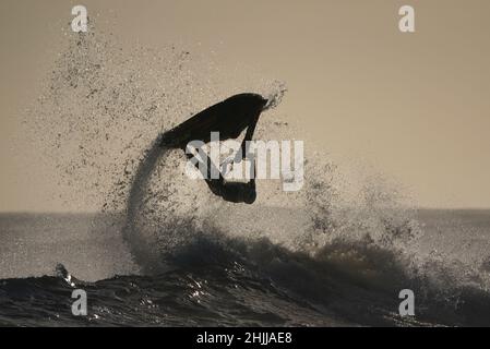 Un scooter des mers saute les vagues au large de la côte à Blyth, dans le Northumberland.Date de la photo: Dimanche 30 janvier 2022. Banque D'Images