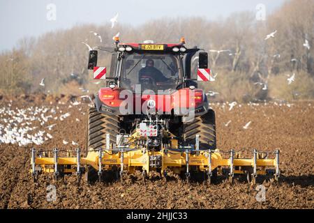 26.1.2022 cultiver les terres suivant la betterave à sucre prête pour le forage de l'orge de printemps dans le Lincolnshire Banque D'Images
