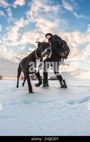 Un grand chien avec une maîtresse sur un terrain enneigé.Super Dane dans la neige, animal de compagnie Banque D'Images