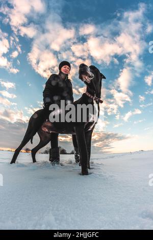 Un grand chien avec une maîtresse sur un terrain enneigé.Super Dane dans la neige, animal de compagnie Banque D'Images