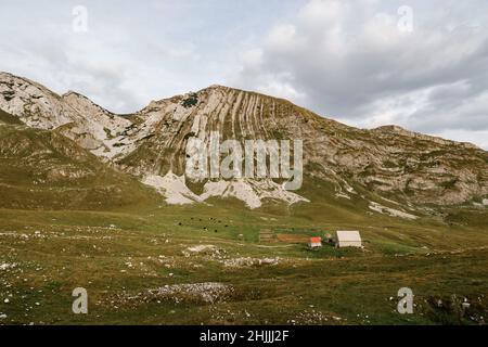 Terres agricoles à côté d'une maison au pied des montagnes dans le nord du Monténégro Banque D'Images