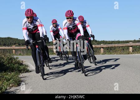 Evaldas Siskevicius et Emiel Vermeulen pendant la pré-saison du GO SPORT - Roubaix Lille Métropole 2022 équipe cycliste le 2022 janvier dans la région du Var, France - photo Laurent Sanson / LS Medianord / DPPI Banque D'Images