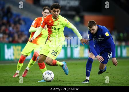 CARDIFF, ROYAUME-UNI.JAN 30th Brennan Johnson de Nottingham Forest bataille pour possession avec Alfie Doughty de Cardiff City pendant le match de championnat Sky Bet entre Cardiff City et Nottingham Forest au Cardiff City Stadium, Cardiff, le dimanche 30th janvier 2022.(Crédit : Kieran Riley | INFORMATIONS MI) crédit : INFORMATIONS MI et sport /Actualités Alay Live Banque D'Images