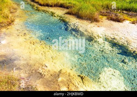 Source naturelle d'hydrogène-soufre dans le Caucase en été Banque D'Images