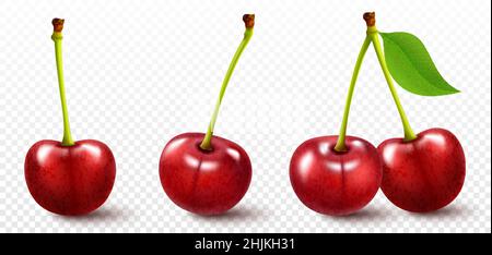 Ensemble de cerises rouges mûres.Illustration réaliste à 3D vecteurs.Baies brillantes isolées sur fond blanc Illustration de Vecteur