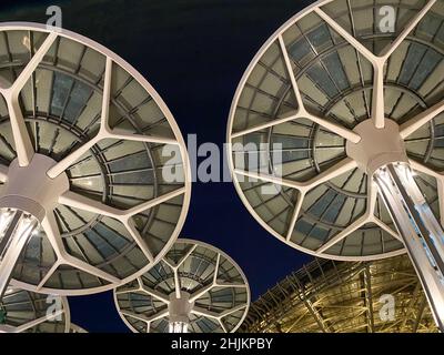 '1.30.2022 - Dubaï, Émirats Arabes Unis - Expo 2020 Sustainability District Solar Panel Trees la nuit Banque D'Images