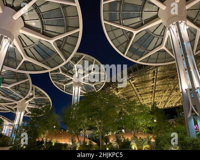 '1.30.2022 - Dubaï, Émirats Arabes Unis - Expo 2020 Sustainability District Solar Panel Trees la nuit Banque D'Images