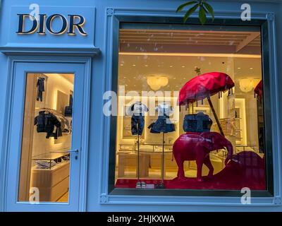 Paris, France, façades de boutiques de mode de luxe, Dior Store, Av. Montaigne, vitrine dior, portes Banque D'Images