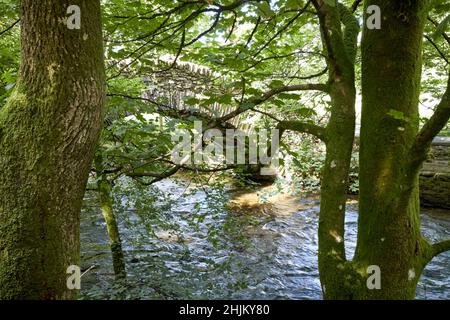 vue à travers les arbres à l'ancien pont en pierre au-dessus de la rivière rothay menant à la région des lacs d'ambleside, cumbria, angleterre, royaume-uni Banque D'Images