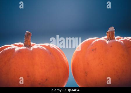 deux petits citrouilles sur une table en bois avec un magnifique fond bleu flou Banque D'Images