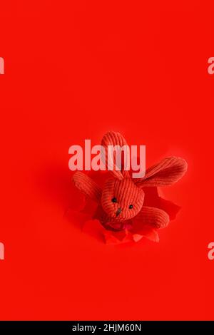 Lapin en peluche rouge lapin de pâques grimpe hors de l'arrière-plan déchiré de papier isolé sur fond rouge.Jouet lapin de pâques pour bébé vintage.Créatif Banque D'Images