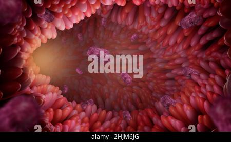 Villosités intestinales avec des bactéries entériques dans un concept de santé.Microbiologie, anatomie, biologie, science, médecine,concepts médicaux et de soins de santé. Banque D'Images