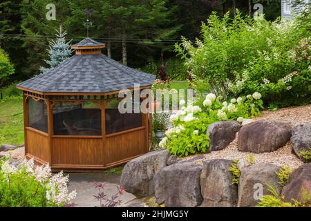 Belvédère en bois avec Hydrangea arborescens 'Annabelle' et arbustes paniculata en bordure de paillis rehaussée de rochers dans le jardin d'arrière-cour en été. Banque D'Images