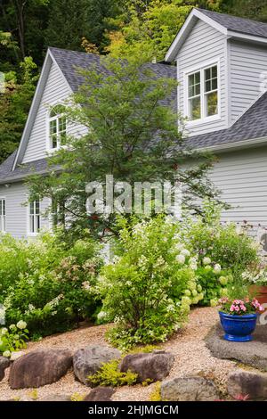 Hydrangea arborescens 'Annabelle', arbustes paniculata, Sorbus americana - American Mountain Ash dans la limite de paillis à bords rocailleux élevés dans le jardin d'arrière-cour. Banque D'Images