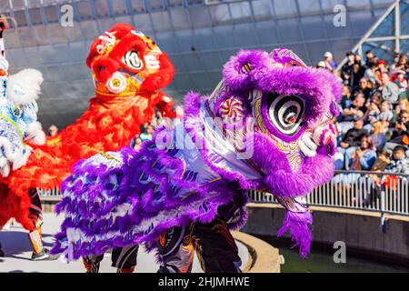 Oklahoma, 29 2022 JANVIER - vue sur le soleil de la danse du lion au festival du nouvel an lunaire Banque D'Images