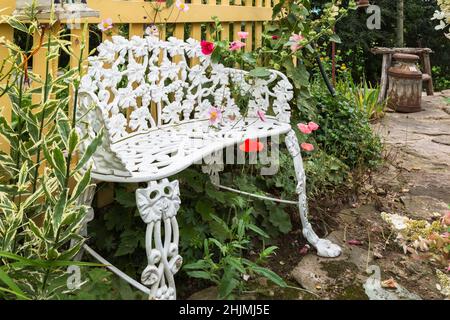 Blanc peint en fonte de style victorien assis contre la clôture de piquetage peinte beige et bordé par le paver rouge - coquelicot, Alcea rosea - Hollyhock. Banque D'Images