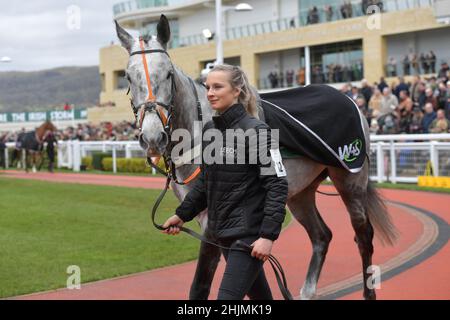 Course au champ de courses de Cheltenham, Prestbury Park, le jour des essais du festival en janvier, avant le festival de la coupe d'or de Cheltenham en mars. Chevaux dans le Banque D'Images