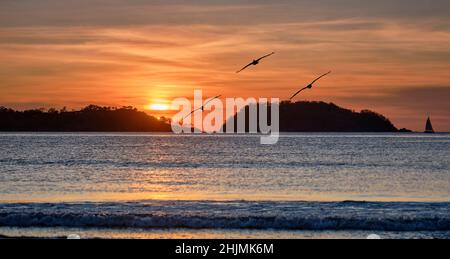 Les pélicans volent en formation sur l'eau vers un coucher de soleil orange sur la plage de Potrero au Costa Rica Banque D'Images