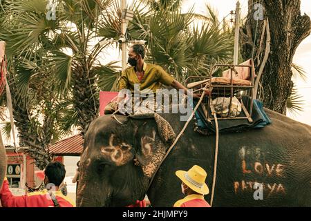 Éléphant lors de la parade de Noël 2021 à Pattaya, en Thaïlande Banque D'Images