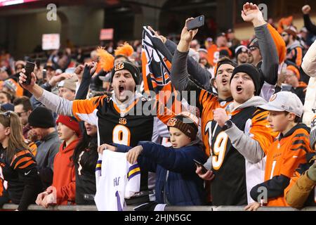 Kansas City, Kansas, États-Unis.30th janvier 2022.KANSAS CITY, Mo - 30 JANVIER : les fans des Bengals de Cincinnati célèbrent après avoir remporté le championnat de l'AFC entre les Bengals de Cincinnati et les chefs de Kansas City Credit: Action plus Sports/Alay Live News Banque D'Images