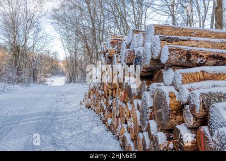 Winter Wandern im Harz Bodetal Friedrichsbrunn Thale Banque D'Images
