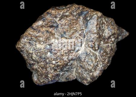 La pierre de météorite chondrite est isolée sur fond noir.Morceau de roche formé pendant la création du système solaire. Banque D'Images