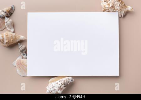 Carte en papier maquette avec coquillages.Pose à plat Banque D'Images