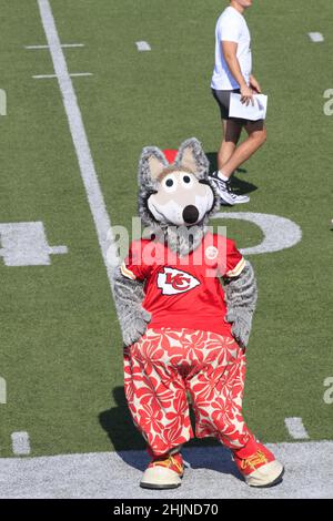 Mascott du chef de Kansas City sur un terrain de football au Kansas, qui est lumineux et coloré lors d'une journée colorée. Banque D'Images
