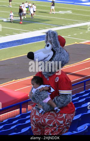 Mascott du chef de Kansas City sur un terrain de football au Kansas, qui est lumineux et coloré lors d'une journée colorée. Banque D'Images
