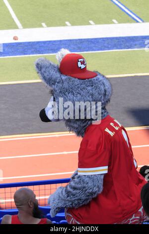 Mascott du chef de Kansas City sur un terrain de football au Kansas, qui est lumineux et coloré lors d'une journée colorée. Banque D'Images