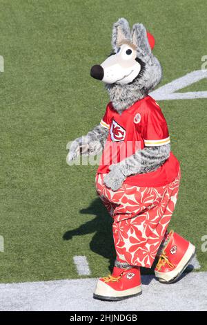 Mascott du chef de Kansas City sur un terrain de football au Kansas, qui est lumineux et coloré lors d'une journée colorée. Banque D'Images