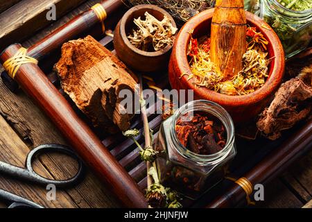 Herbes médicales et plantes médicinales dans un plateau herbes homéopathiques sur une ancienne surface en bois Banque D'Images