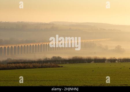 14.1.2022 le brouillard engloutit le viaduc de Harringworth le viaduc traverse la vallée de la rivière Welland entre Harringworth dans le Northamptonshire et Seaton dans Rutland, en Angleterre.Le viaduc mesure 1 275 mètres de long et dispose de 82 arches, chacune d'une longueur de 40 pieds.C'est le viaduc de maçonnerie le plus long d'une vallée au Royaume-Uni.©Tim Scrivener photographe 07850 303986.. Couvrant l'agriculture au Royaume-Uni Banque D'Images