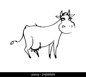 Vache drôle.Animal sauvage joyeux.Un caractère comique.Esquisse de contour.Le dessin à la main est isolé sur un fond blanc.Vecteur Illustration de Vecteur