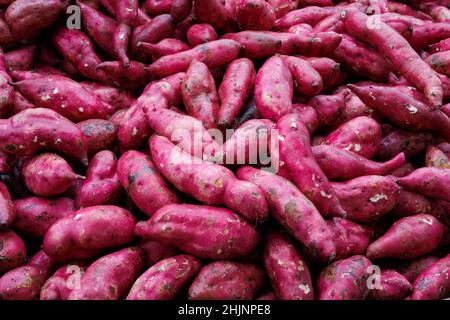 Patates douces rouges, crues et biologiques, Ipomoea batatas, sur un marché à Ealing, dans l'ouest de Londres Banque D'Images
