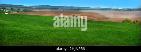 vue panoramique des champs verts blé d'hiver et nuages de poussière sur les collines des terres labourées, problème d'érosion du sol par le vent Banque D'Images