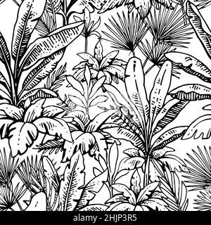 Herbes tropicales et épaississement des plantes.Motif sans couture.Contour du dessin à la main.Paysage d'été.Esquisse de plantes exotiques.Isolé sur fond blanc Illustration de Vecteur