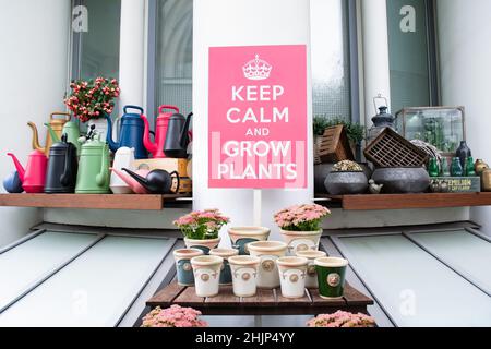 Moscou, Russie, septembre 2019: Composition de fleurs en pots céramiques multicolores, figures, arrosoirs lumineux et caisses en bois et affiche rose: K Banque D'Images