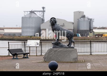 Statue de chien Bamse - mascotte des Forces norvégiennes libres pendant la Seconde Guerre mondiale - Montrose, Écosse, Royaume-Uni Banque D'Images