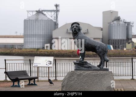 Statue de chien Bamse - mascotte des Forces norvégiennes libres pendant la Seconde Guerre mondiale - Montrose, Écosse, Royaume-Uni Banque D'Images